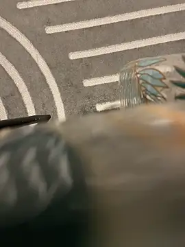 dimitriei online show from 11.15.25