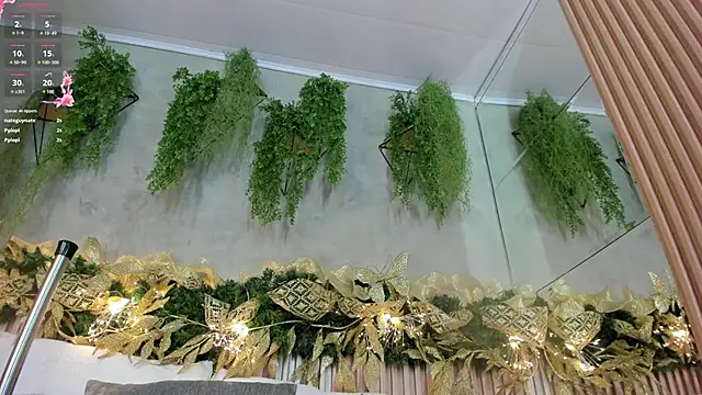 Lana Lann online show from 12.28.24