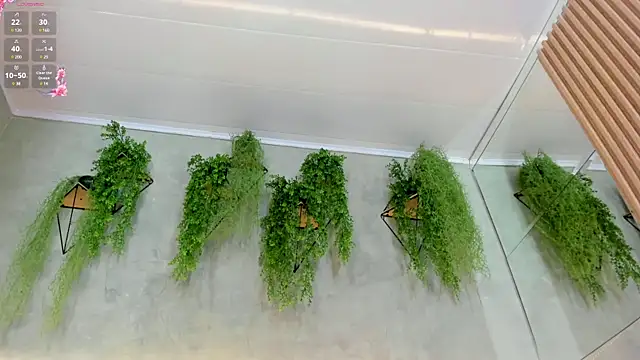 Lana Lann online show from 01.11.25