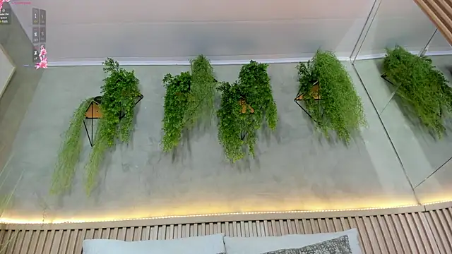 Lana Lann online show from 02.05.25