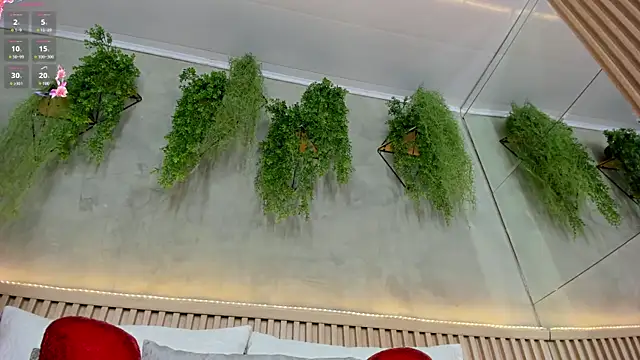 Lana Lann online show from 02.28.25