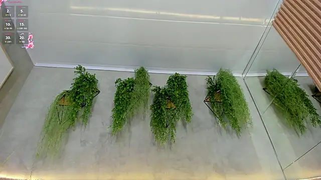 Lana Lann online show from 03.15.25