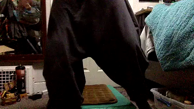 Robriguezxxx online show from 12.26.24