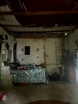 amy gata online show from 11.15.25