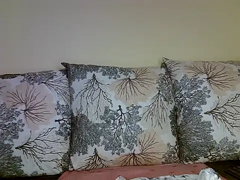 Snapshot of Oliviia_ chatting on 12.13.24 Oliviia online show from 12.13.24