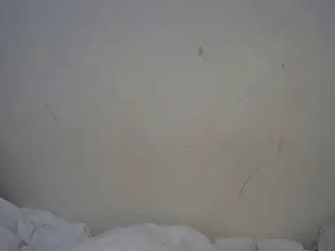 ebony curvedass online show from 09.10.25