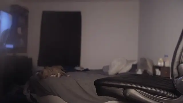 flexingplexico online show from 03.01.25