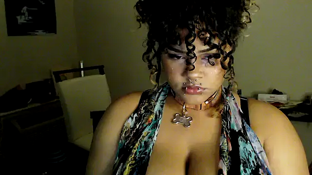 ozzieboz online show from 04.12.26