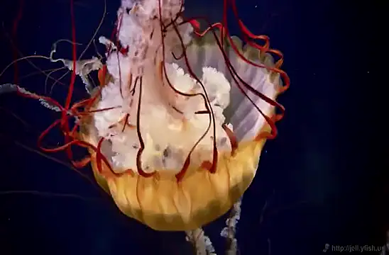 Snapshot of streamy_test15 chatting on 02.03.25 streamy test15 online show from 02.03.25