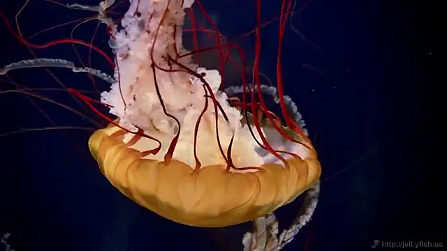 Snapshot of streamy_test15 chatting on 09.19.25 streamy test15 online show from 09.19.25