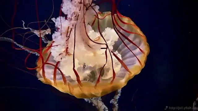 Snapshot of streamy_test15 chatting on 02.05.26 streamy test15 online show from 02.05.26