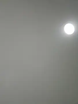 Amber Rush  online show from 09.08.25