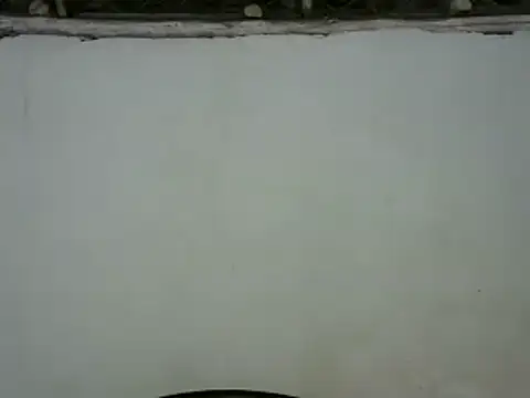 michel sc online show from 01.30.25