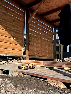 Linalicious online show from 03.21.25