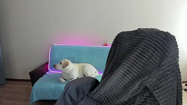 Snapshot of Liam_sexy1 chatting on 12.20.24 Liam sexy1 online show from 12.20.24