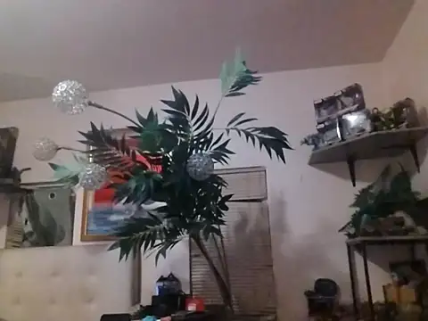 mrwinsalot88 online show from 12.19.25