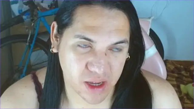 Geisha Seniers online show from 01.06.26