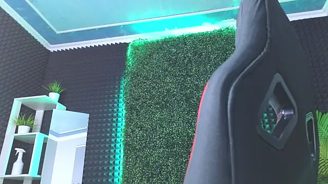 Snapshot of erikabrian chatting on 12.29.24 erikabrian online show from 12.29.24