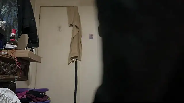 pipeload1275 online show from 03.05.26