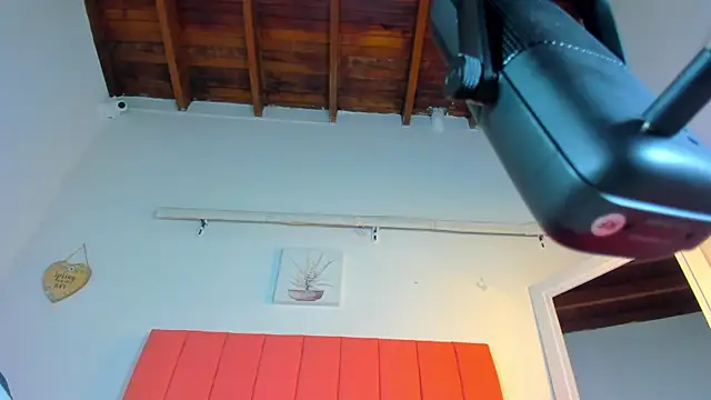 valen rose0 online show from 11.02.25