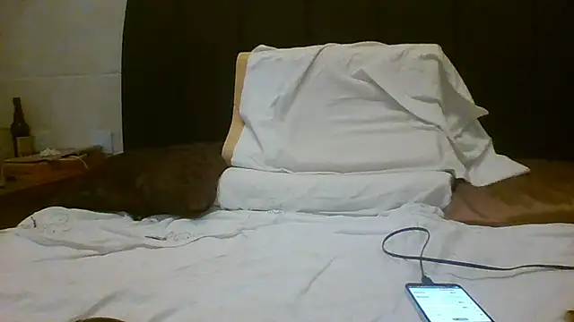 Denisilboss online show from 03.24.26