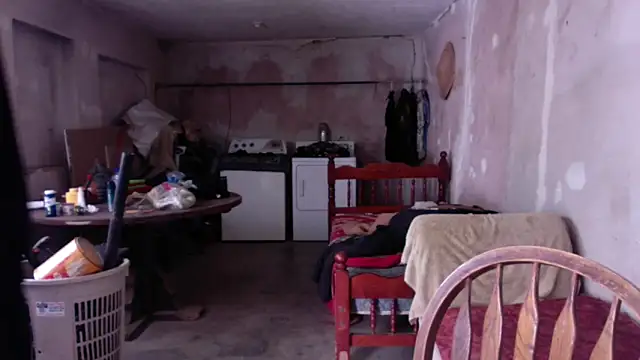 LoretoMx online show from 11.17.25