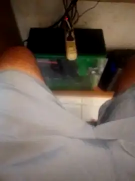 betinhodelas online show from 10.18.25