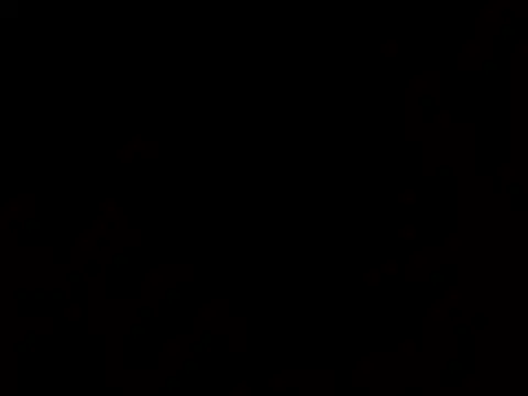 thatdude9 9 9 online show from 03.31.26