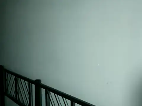 100Tauros online show from 11.13.25