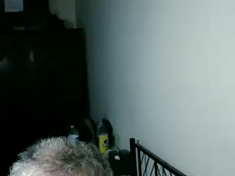 100Tauros online show from 03.08.26