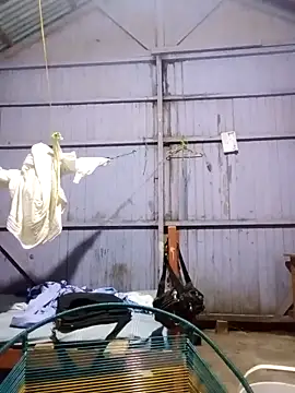 leyel00155 online show from 03.12.26