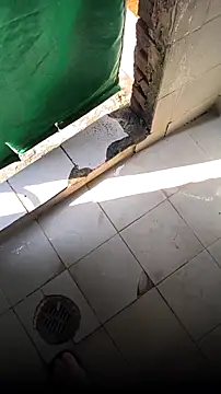 mendelicius online show from 02.15.26