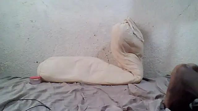 demo2004 online show from 10.17.25