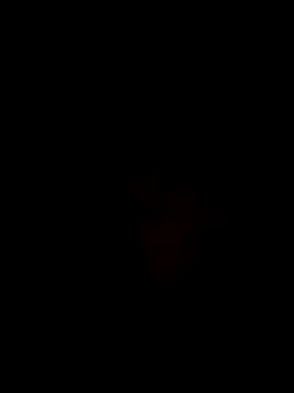 Ner0924 N online show from 12.02.24