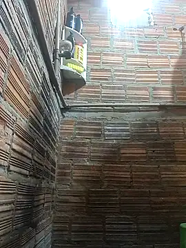 RS1995Poa1 online show from 12.04.25