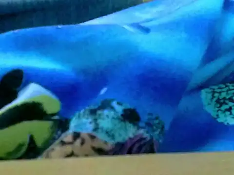 Snapshot of zhan7965 chatting on 12.30.24 zhan7965 online show from 12.30.24