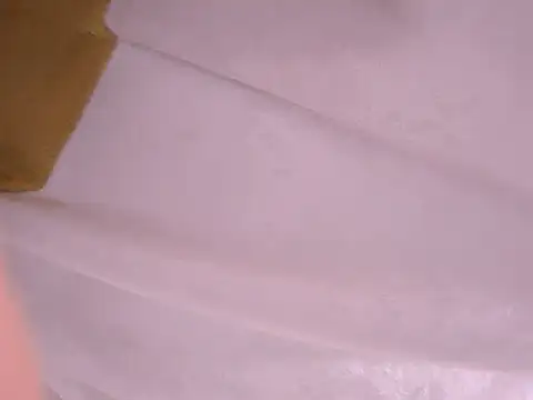 Snapshot of tatsumi_nao chatting on 01.22.25 tatsumi nao online show from 01.22.25