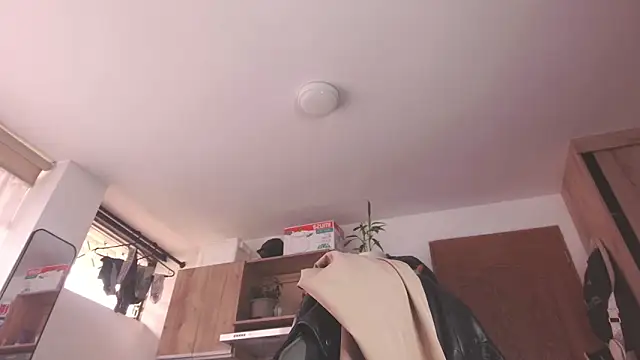 Cutie Shy  online show from 05.21.26
