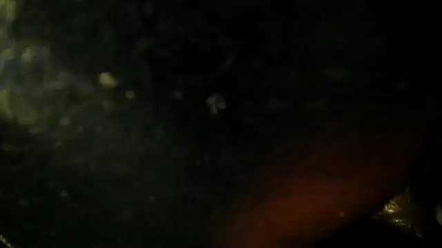 Snapshot of leatherz69 chatting on 05.22.26 leatherz69 online show from 05.22.26