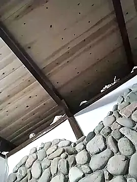 Snapshot of Freddy1962 chatting on 12.12.24 Freddy1962 online show from 12.12.24