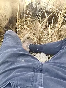 Snapshot of murokkk31 chatting on 10.29.25 murokkk31 online show from 10.29.25