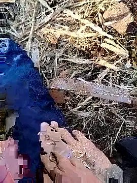 Snapshot of murokkk31 chatting on 11.30.25 murokkk31 online show from 11.30.25