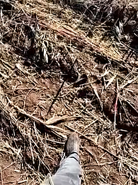 Snapshot of murokkk31 chatting on 12.14.25 murokkk31 online show from 12.14.25