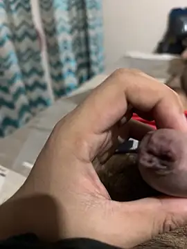 Snapshot of thecockybouy chatting on 03.01.25 thecockybouy online show from 03.01.25