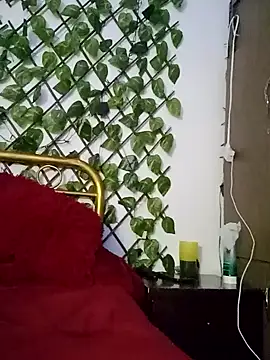 amatista 3012 online show from 10.13.25