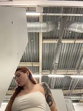 Accole online show from 02.17.26