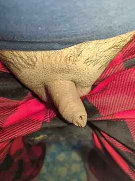 publicsir online show from 04.17.26