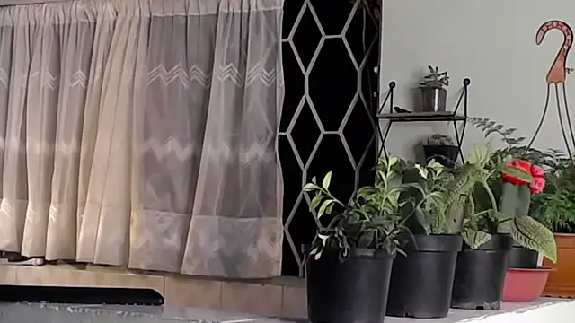 Snapshot of peyton_golden1 chatting on 01.16.25 peyton golden1 online show from 01.16.25