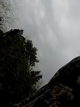 Sherry she online show from 02.02.25