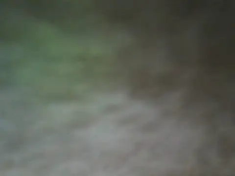 ShivamFactor3 online show from 11.28.25